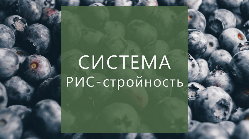 [Суханова Елена] Система РИС-стройность (2023)_0.png